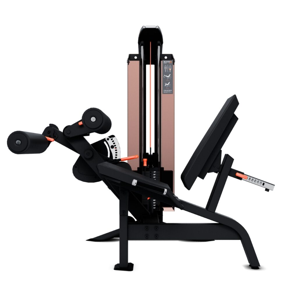 New Edge Flexora Movement